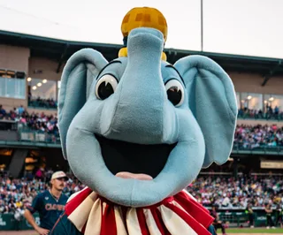 Peanuts The Elephant